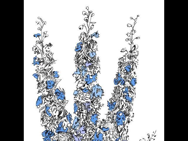 Music To Watch Seeds Grow By 002: Prism (Delphinium Elatum) - Davis Galvin