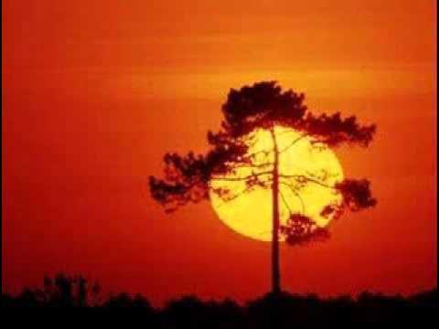 Autobiography - Abdullah Ibrahim (Dollar Brand)