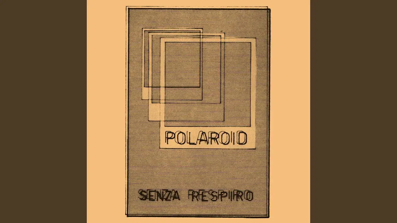  - polaroid