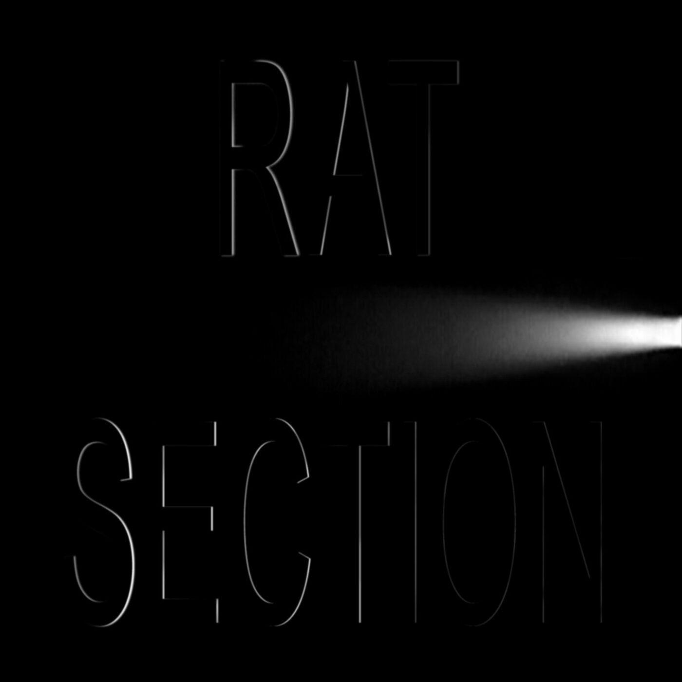 What Stays In Vegas - Rat Section