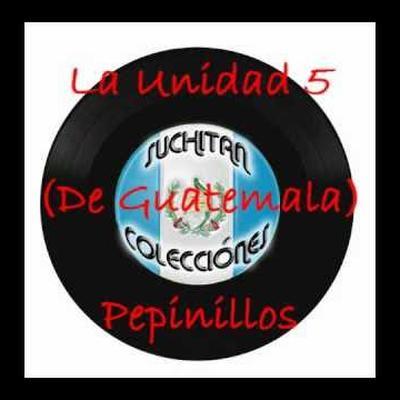  - Unidad Cinco
