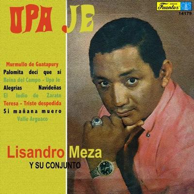  - Lisando Meza