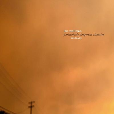 Particularly Dangerous Situation - Ian Wellman