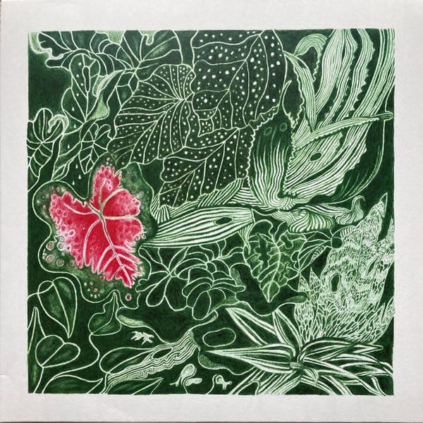 The Indoor Gardener - Double Geography