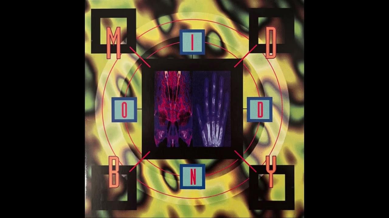Fuzzboy – Sacrificial Lamb - Fuzzboy