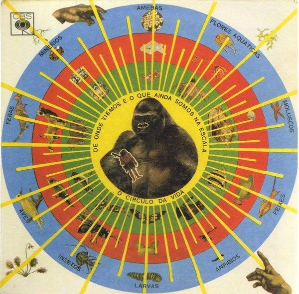 Krishnanda - Pedro Santos