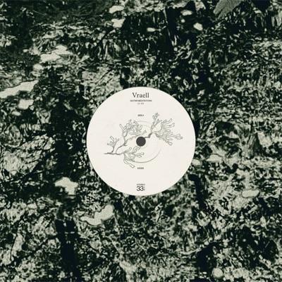 fever call / guitar meditations (III) - Vraell