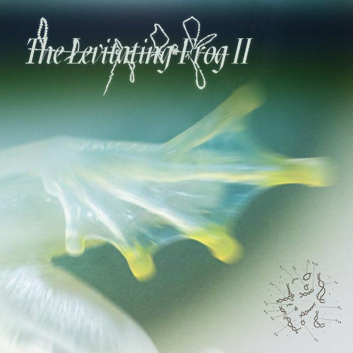 The Levitating Frog II - Repulsive Force