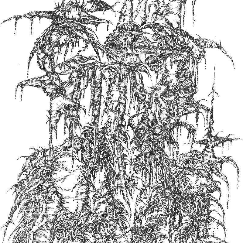 Mothers Bells - Murex