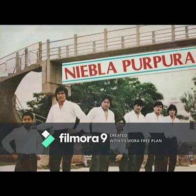  - Niebla Purpura