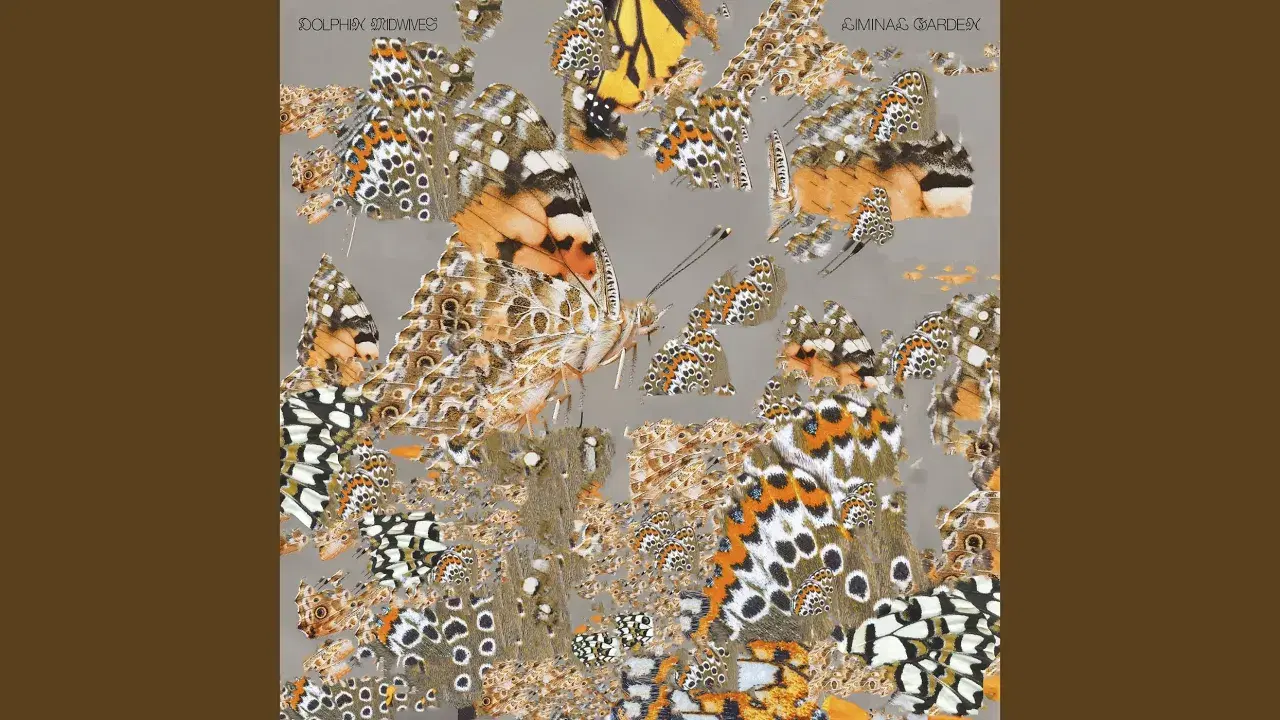 Liminal Garden - Dolphin Midwives