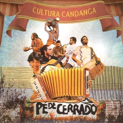  - Pé de Cerrado