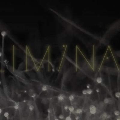 Sigur Rós Presents Liminal Sleep - Sigur Rós