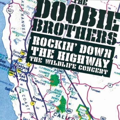 What Were Once Vices Are Now Habits - Doobie Brothers