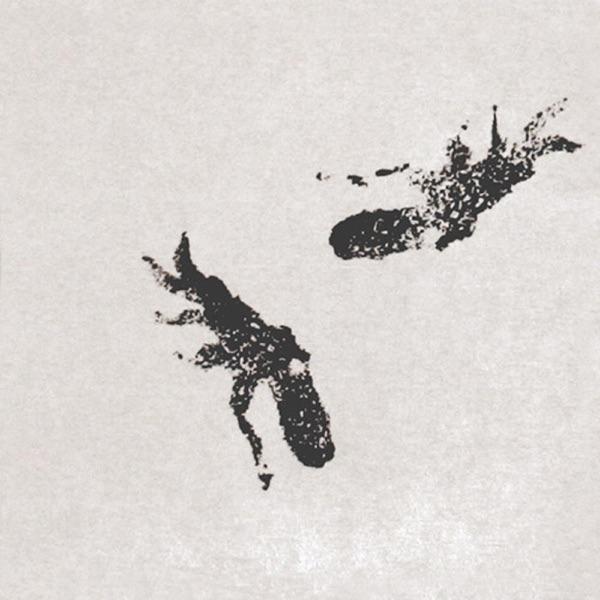 Views. Octopus (2006) - Nosaj Thing