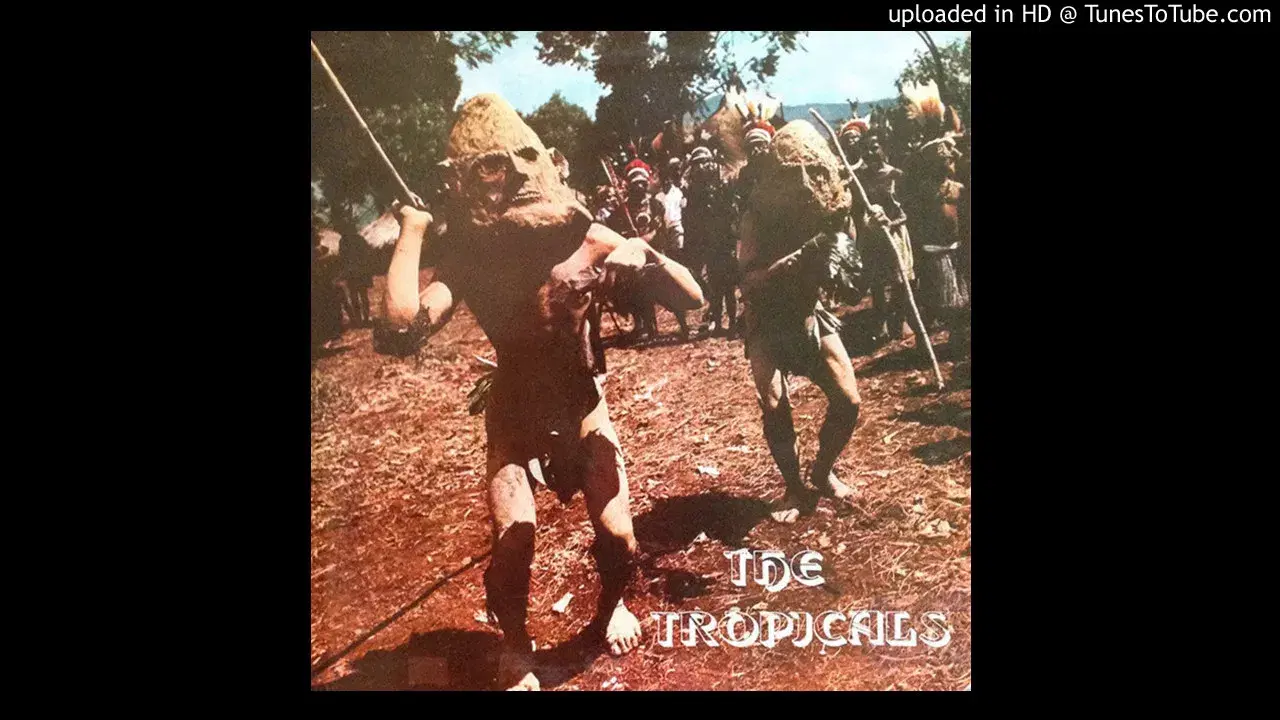 African Popcorn - The Tropicals