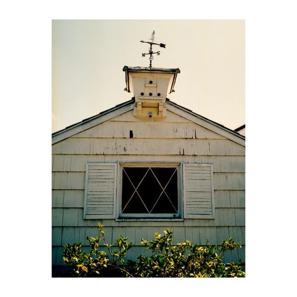  - sunflwr