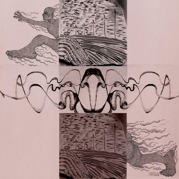 Infini Serpent - Trois-Quarts Taxi System