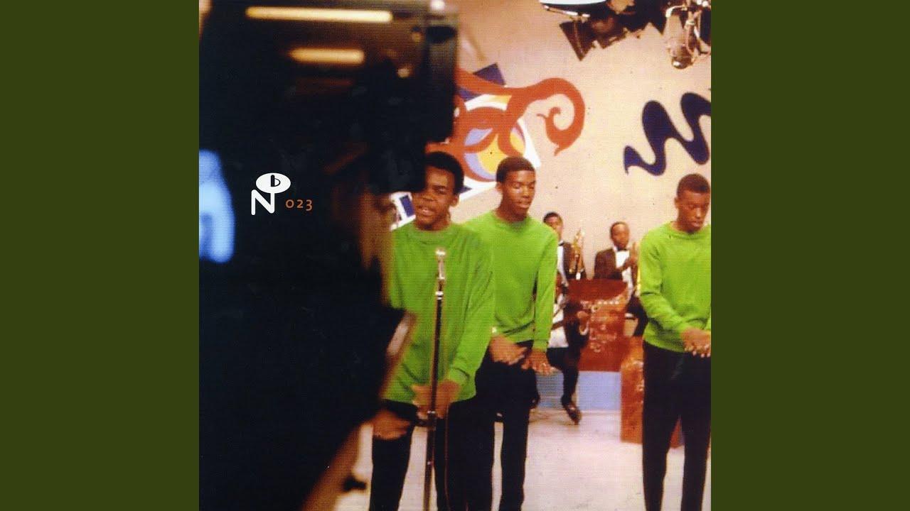 Ain't Nothin' but a Funky Party!! - The Young Disciples Co.