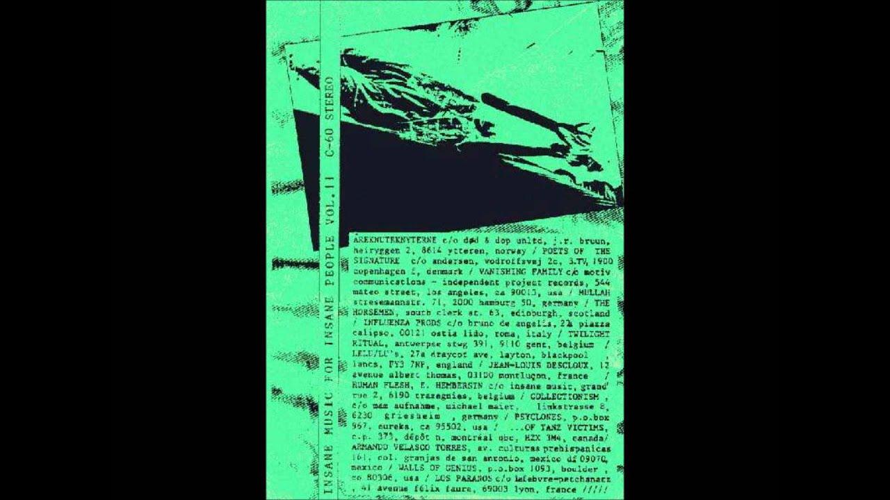 Insane Music For Insane People Vol. 11 - Twilight Ritual