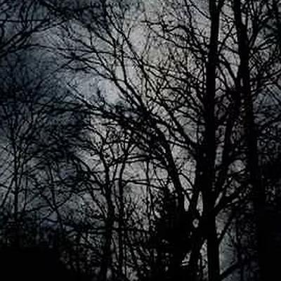  - brighter death now (enhanta bodlar)