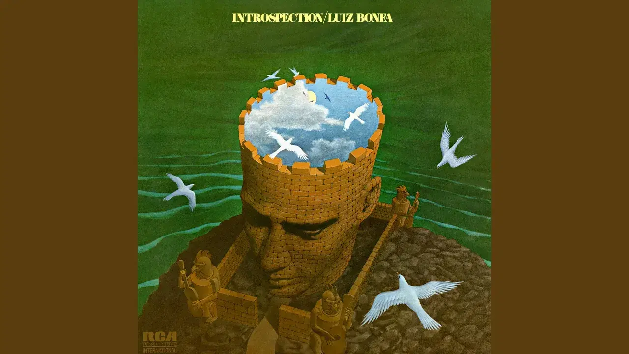 Introspection - Luiz Bonafo
