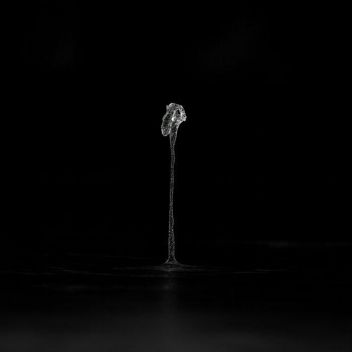Dripping - Coastlines