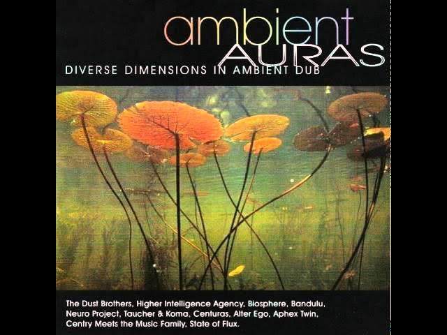 Ambient Auras: Diverse Dimensions In Ambient Dub - Taucher & DJ Koma