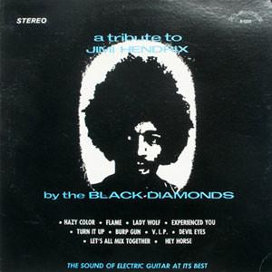 A Tribute To Jimi Hendrix - The Black Diamonds