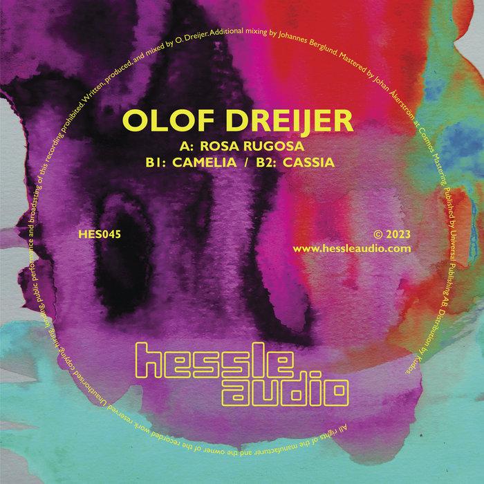 Rosa Rugosa EP - Olof Dreijer
