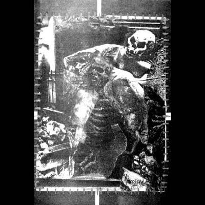 journey into pain - das synthetische mischgewebe
