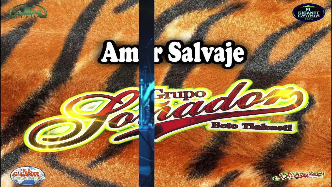  - Grupo Soñador Beto Tlahuetl