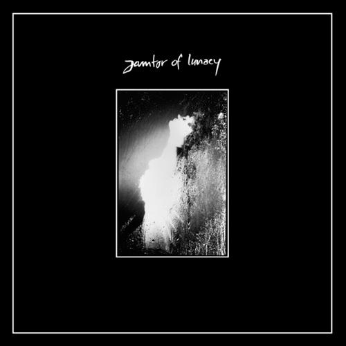 Crimes On The Dancefloor - Janitor Of Lunacy