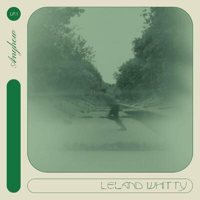Anyhow - Leland Whitty
