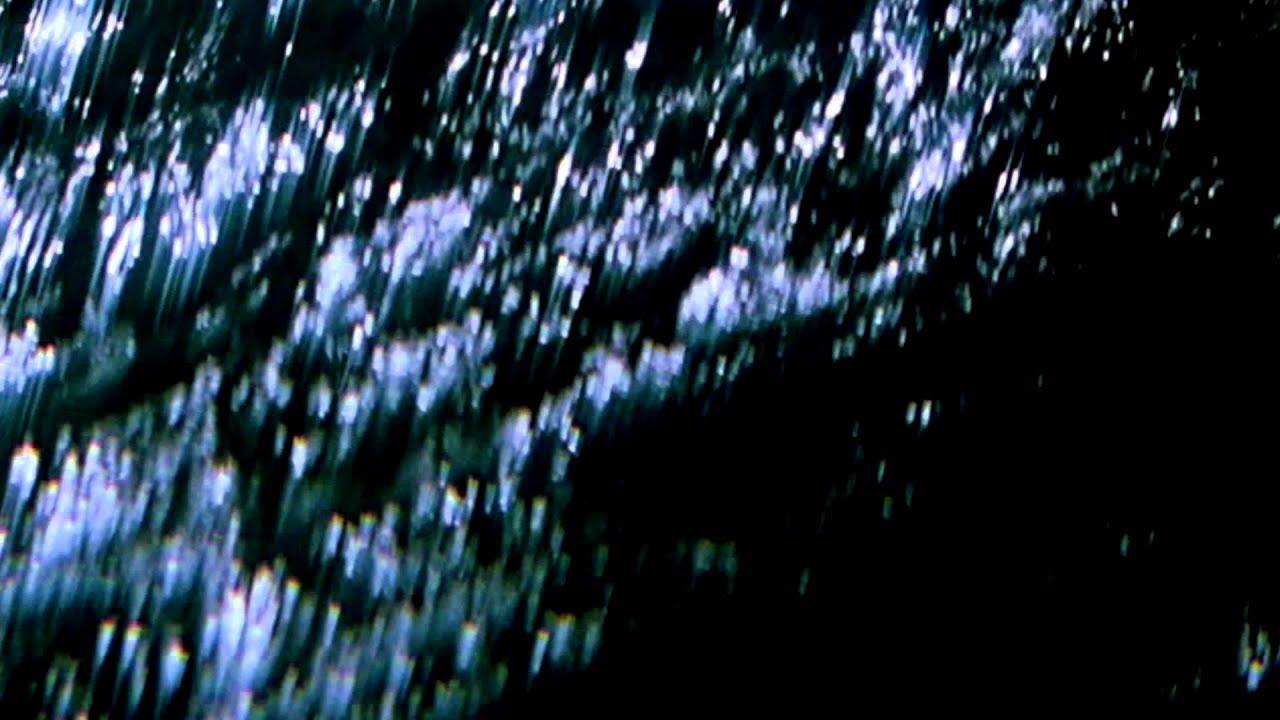VOYAGE83 - Willis Anne
