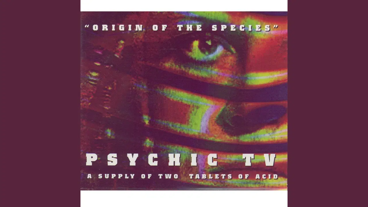 Towards Thee Infinite Beat - Psychic TV