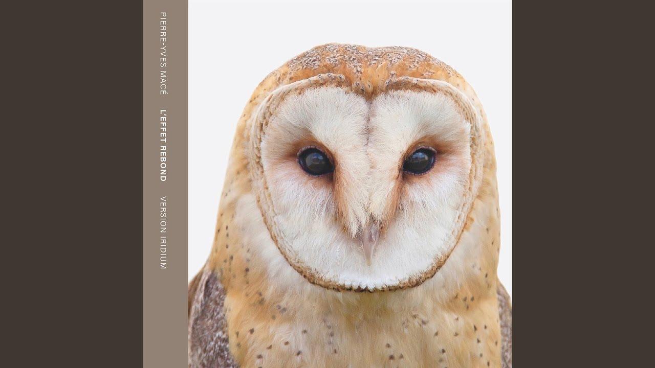 L'Effet Rebond (Version Iridium / Version Silicium) - Pierre-Yves Macé