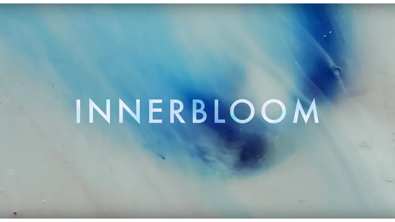 Innerbloom - RÜFÜS DU SOL