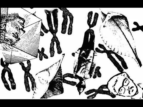 Meet the Fifth Column! (Categorized Talericans) - The Fifth Column