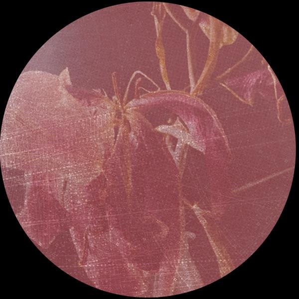 As Fallen Leaves - EP - Serge Geyzel
