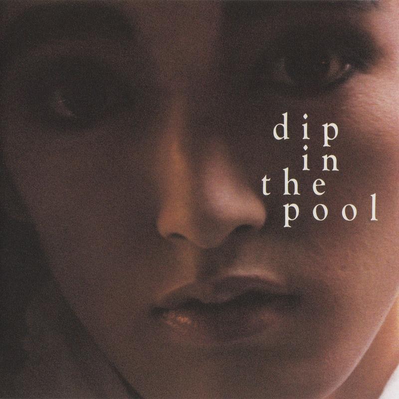 dip in the pool - dip in the pool