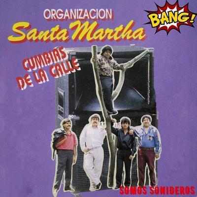  - Organizacion Santa Marta
