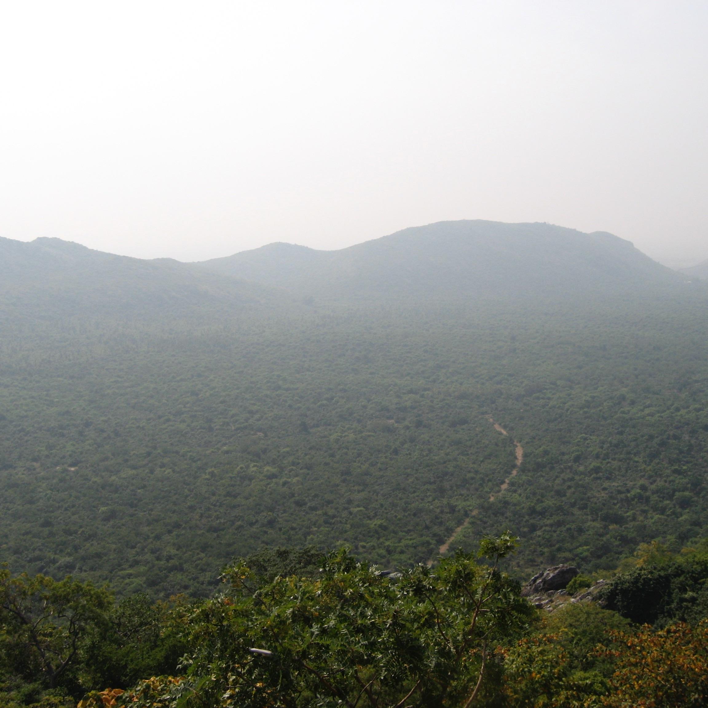  - Bodhi Bhajan Project