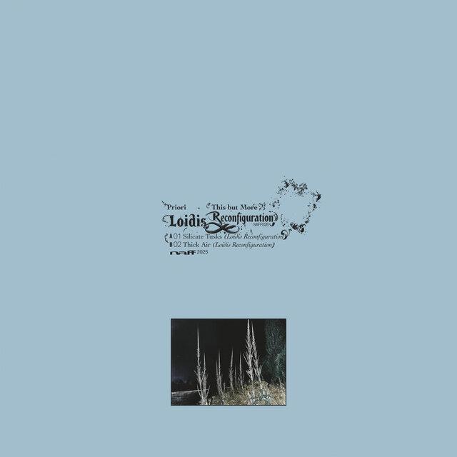 This But More (Loidis Reconfiguration) - Priori