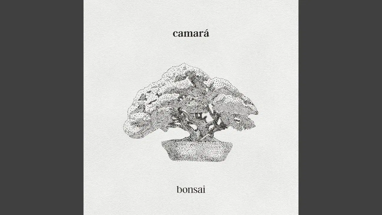  - Camará