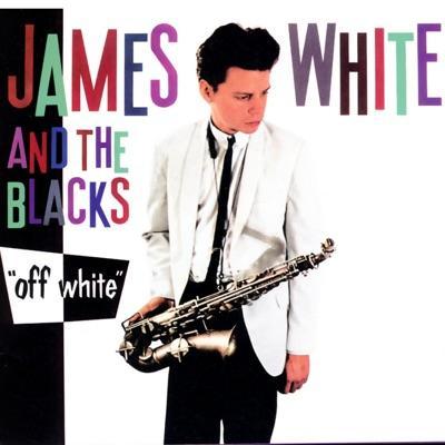 12" - James White And The Blacks