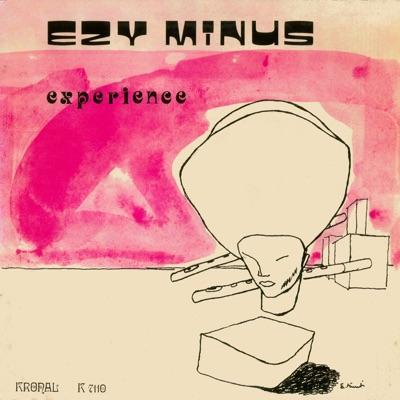 Experience - Ezy Minus