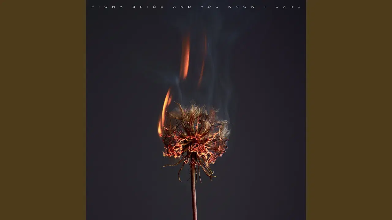 And You Know I Care - Fiona Brice