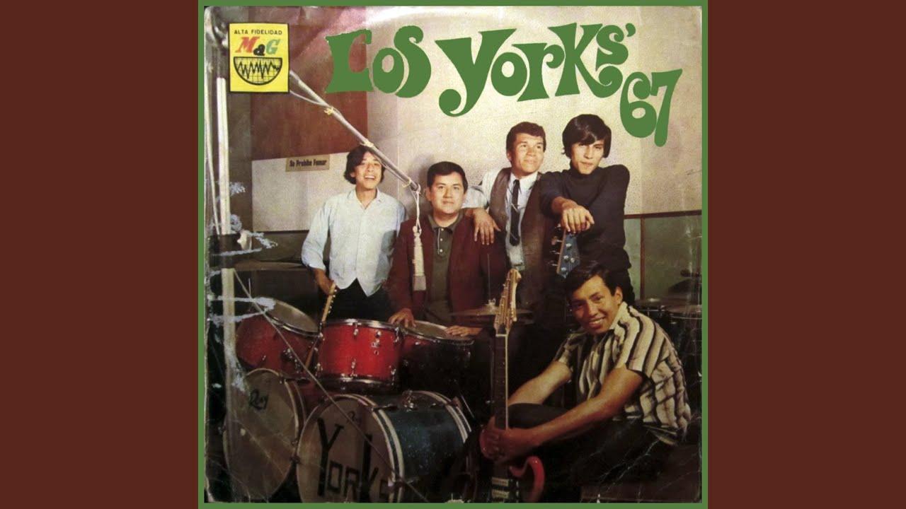 . - Los York's