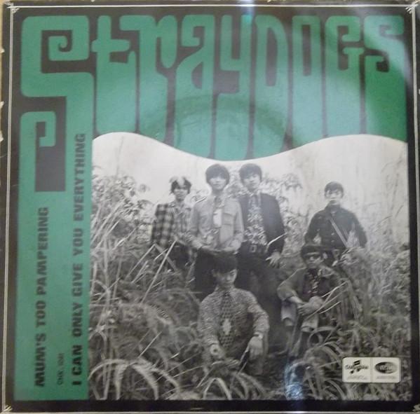  - The Straydogs